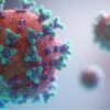 virus-min virus-min